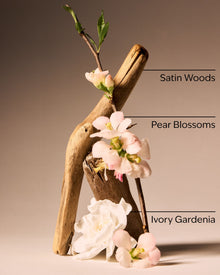 Dressed In White Fine Fragrance Mist