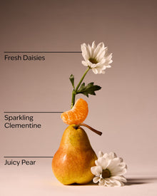 Gingham Fresh Body Lotion