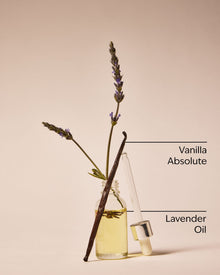 Lavender Vanilla Gift Set