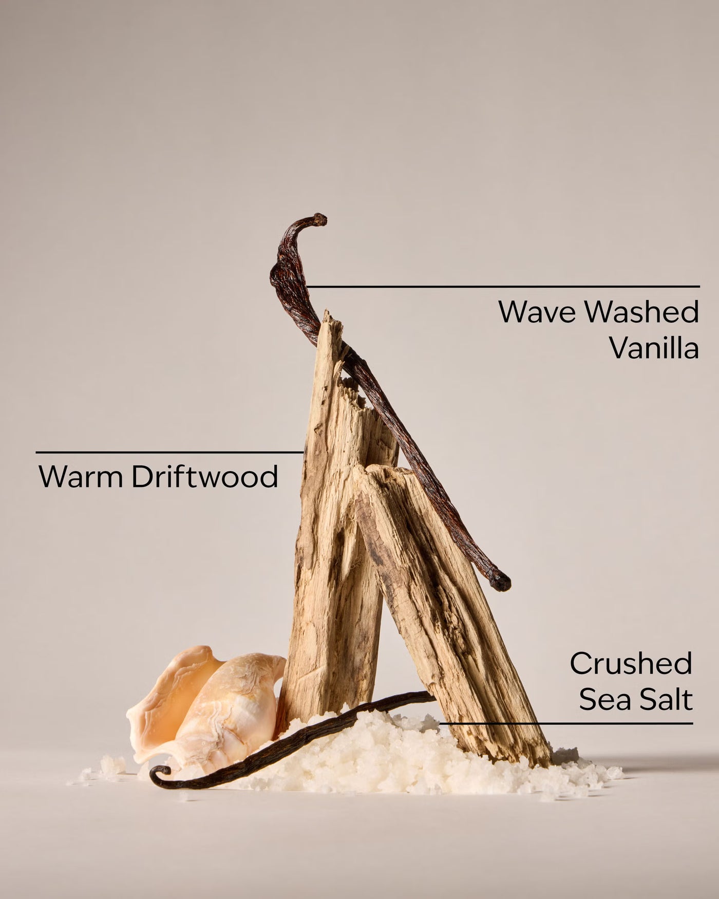 Coastal Dreaming Moisturizing Body Wash