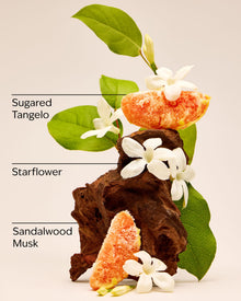 In the Stars Mini Perfume Spray