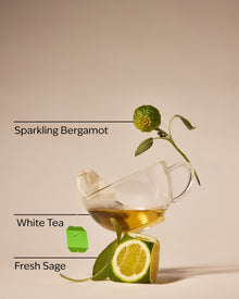 White Tea & Sage Gentle & Clean Foaming Hand Soap