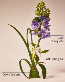 Fresh Cut Lilacs Concentrated Room Spray