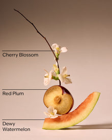 Cherry Blossom Body Lotion