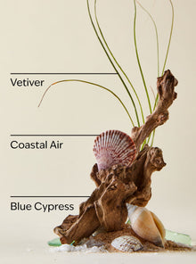 Ocean Ultimate Hydration Body Cream