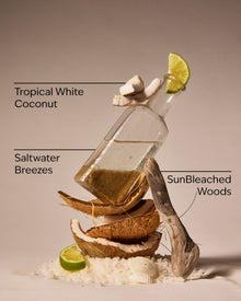 Waikiki Beach Coconut Wallflowers Fragrance Refill