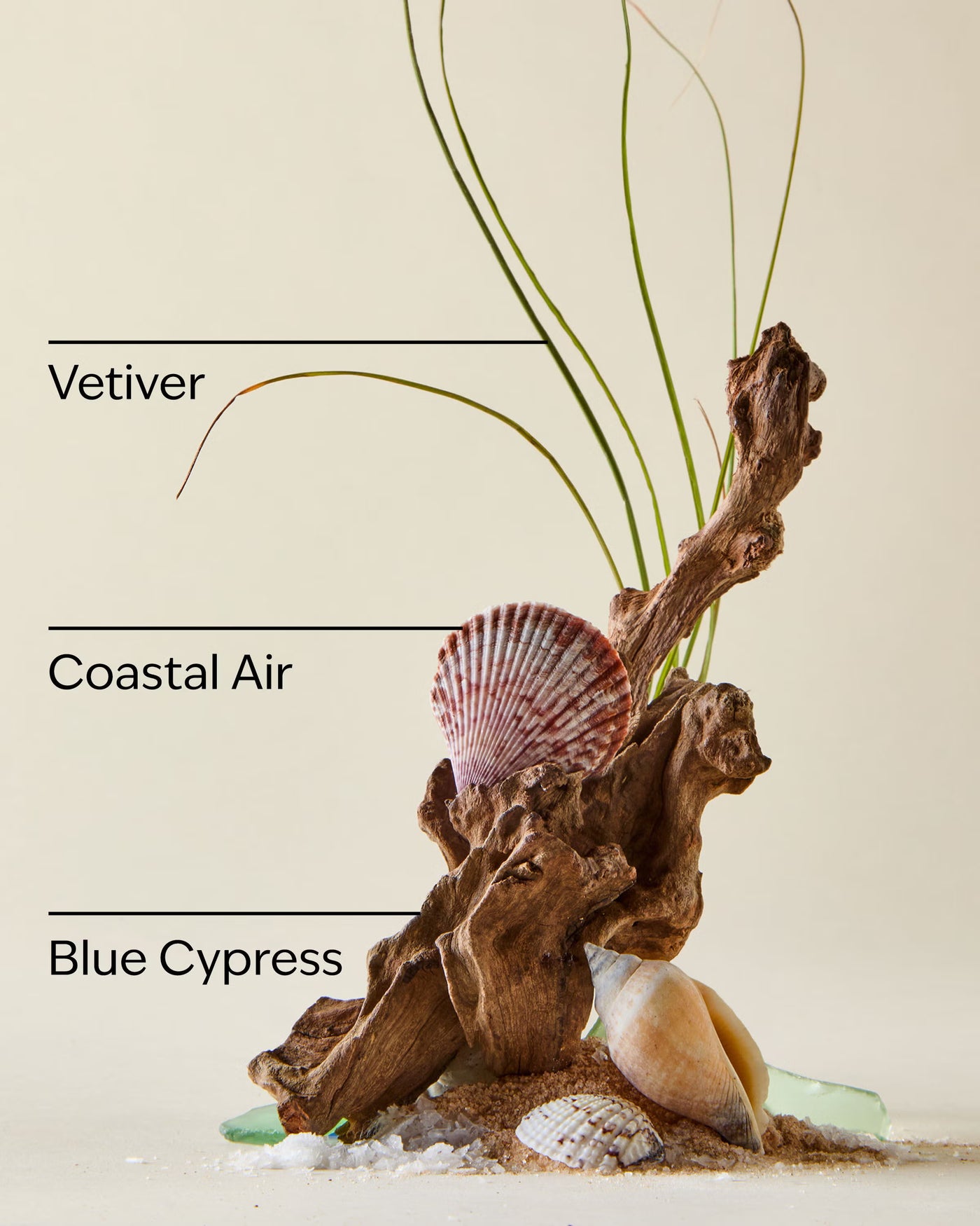 Ocean Body Spray