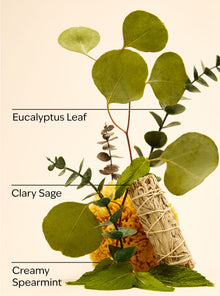 Eucalyptus Spearmint Gentle & Clean Foaming Hand Soap