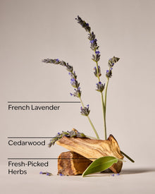Kitchen Lavender Dish Wash