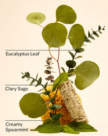 Eucalyptus Spearmint Mini Gift Set