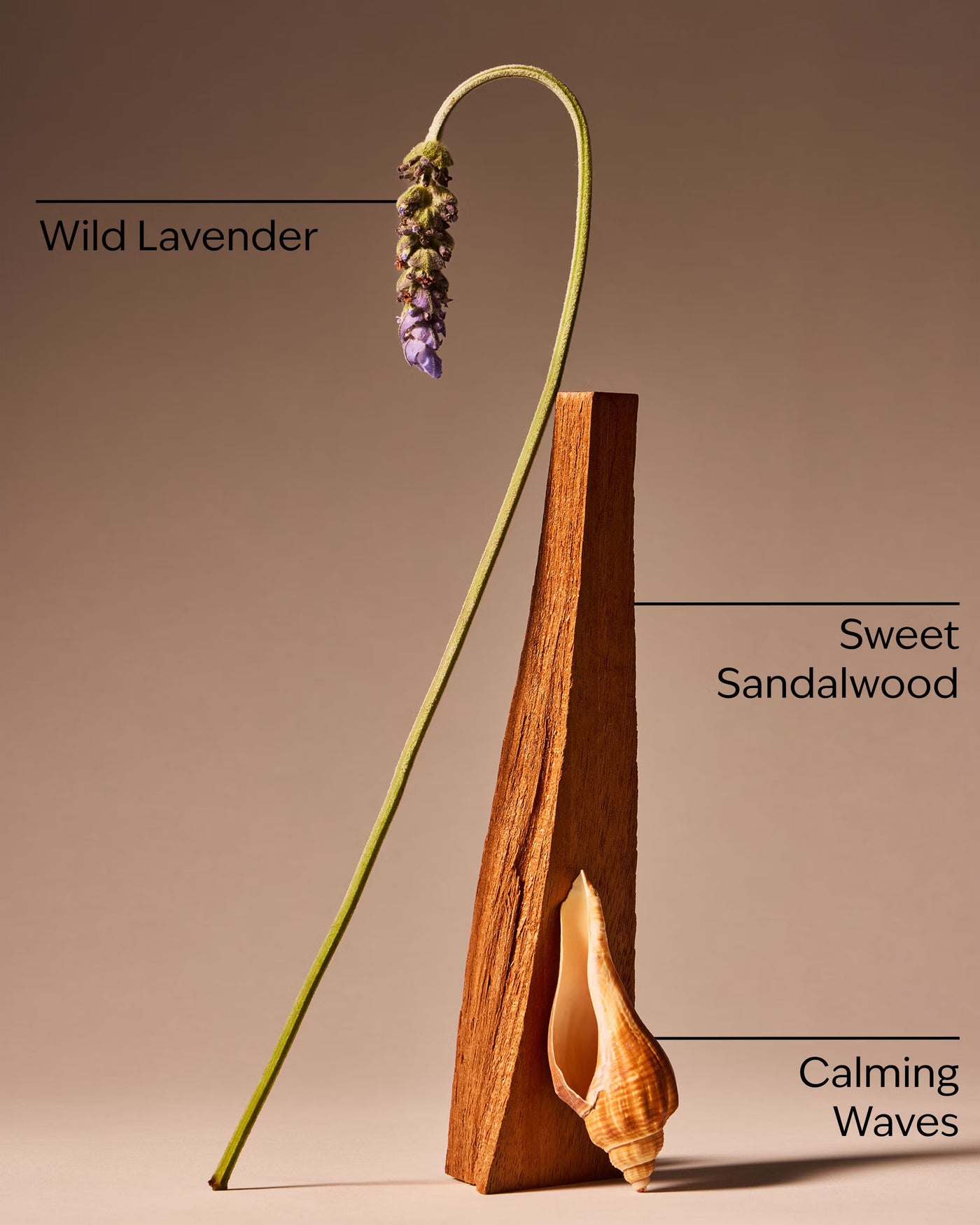 Oceanside Lavender Single Wick Candle