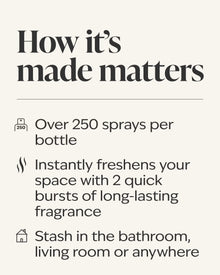 Clean House Vibes Concentrated Room Spray