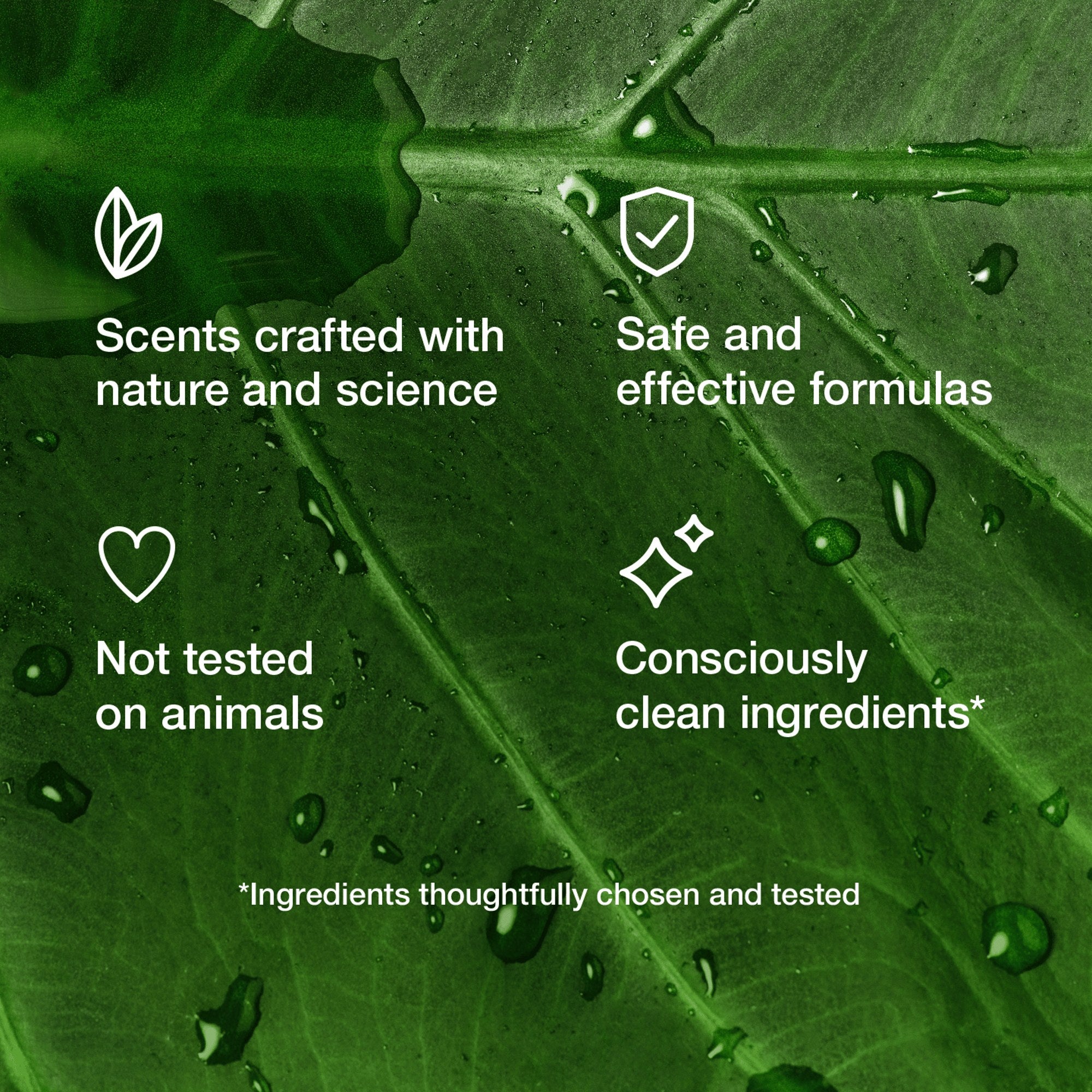 Scents crafted with nature and science, safe formulas, not tested on animals and clean ingredients